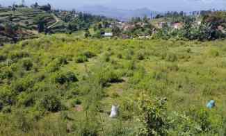 1,4 Ha Kebun View Indah Perbukitan Pakuhaji, Ngamprah, Bandung Barat