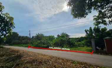 dijual tanah desa pasirmulya karawang timur