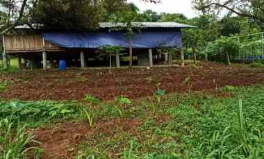 Lahan Perkebunan Luas 9468 SHM di Desa Selawangi, Tanjungsari, Bogor