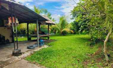 dijual tanah desa selemadeg kec