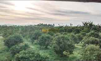 Dijual Tanah Desa Sindoro Barisan Nauli Kec. Sumbul - Dairi Sidikalang