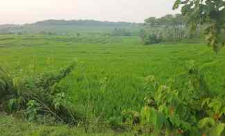 Tanah Dijual 12.800 m2 di Bogor dekat Rencana Proyek Tol JORR 3