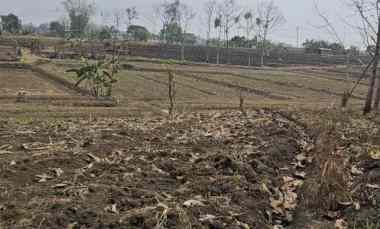 dijual tanah desa slempit kec kedamean