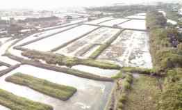 dijual tanah desa sukajaya