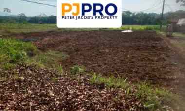 dijual tanah desa sukatali