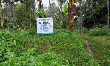 dijual tanah desa taman suruh kec