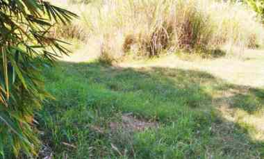 dijual tanah desa tanjung harja kec