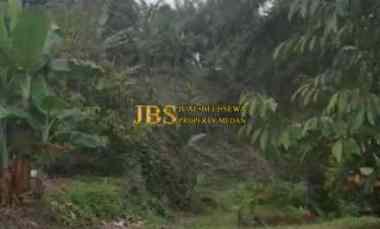 Dijual Tanah Kebun di Desa Tarean Kec. Silinda, Kab. Serdang Bedagai