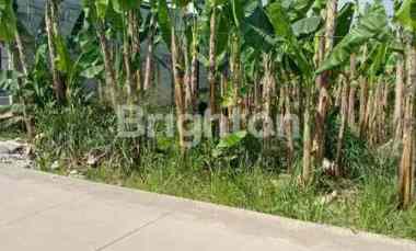 Dijual Lahan Bagus dan Tanah Datar di Desa Tegal, Tegalega, Kab. Bogor