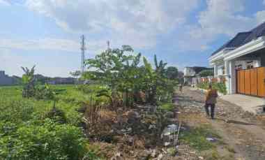 dijual tanah desa triyagan kecamatan