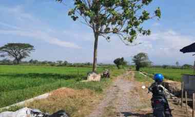 dijual tanah desa turus kec polanharjo