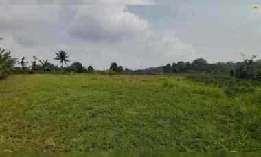 dijual tanah desa wanayasa kab purwakarta