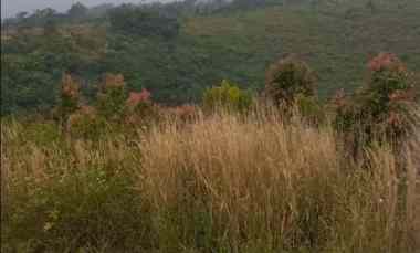 dijual tanah desa wangunjaya kecamatan