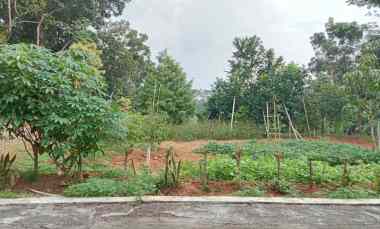 dijual tanah desa wisata mojogedang