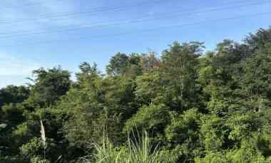 dijual tanah di bukit sari semarang