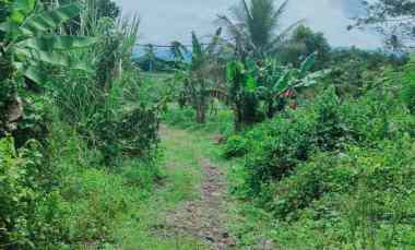 dijual tanah di cianjur