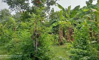 dijual tanah di desa kincang jiwan madiun