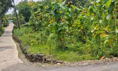 dijual tanah di di kec dlingo kab bantul