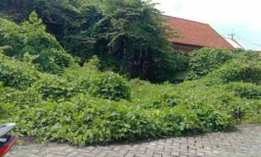 dijual tanah di ds kragan rt 4 rw 01 gedangan sidoarjo