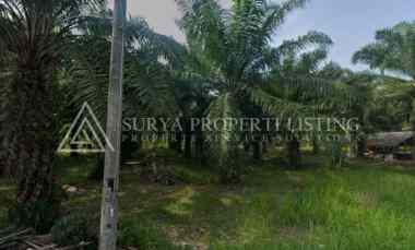 dijual tanah di jalan pinang dua stabat