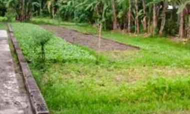 dijual tanah di jl kartama dekat auri harga 250 juta