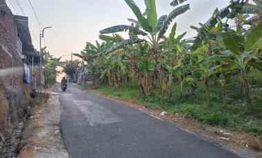 dijual tanah di jl raya dadapan sendangmulyo semarang