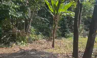 dijual tanah di kemloko margorejo tempel sleman