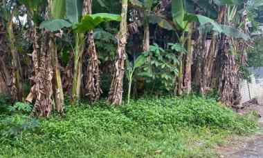 dijual tanah di kepitu kec trimulyo kab sleman