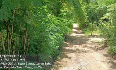 dijual tanah di labuan bajo