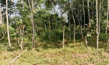 Dijual Tanah di Nganggring Girikerto Turi Sleman