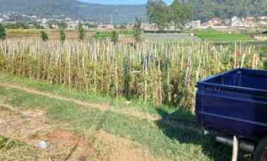 dijual tanah di sumberejo dekat balai