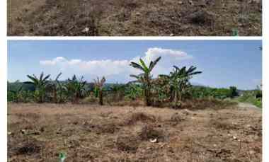 dijual tanah di tambangan mijen semarang