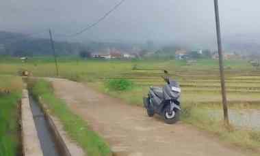 dijual tanah di tanami padi view gunung