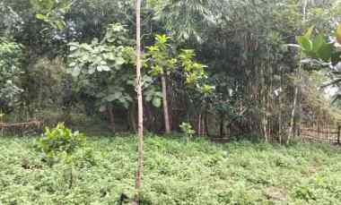 dijual tanah dijual cepat tanah di