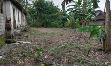dijual tanah dijual cepat tanah di