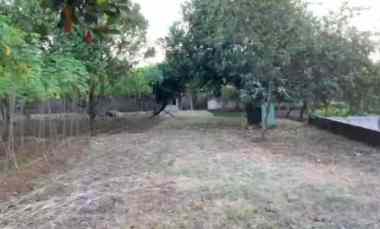 dijual tanah dijual tanah di cimanggu 2