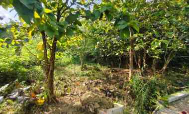 dijual tanah dijual tanah di daherah
