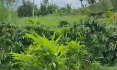 dijual tanah dijual tanah di depan smpn