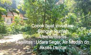 dijual tanah dijual tanah di desa