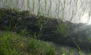 dijual tanah dijual tanah di desa