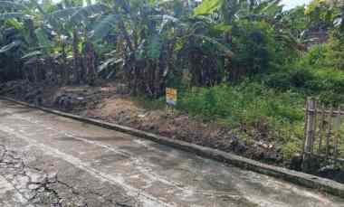 dijual tanah dijual tanah di desa