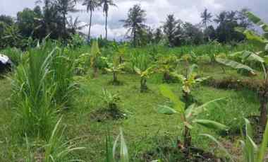 dijual tanah dijual tanah di desa