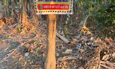 dijual tanah dijual tanah di desa