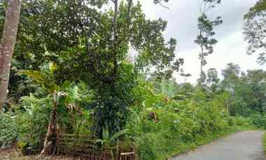 dijual tanah dijual tanah di desa galih