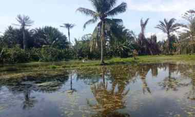 dijual tanah dijual tanah di desa tulo