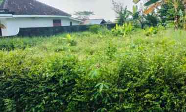 dijual tanah dijual tanah di dusun 2