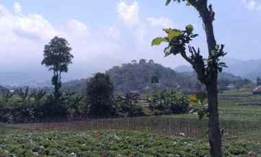 dijual tanah dijual tanah di jl