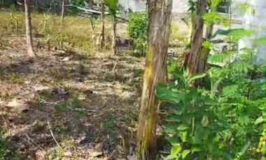 Dijual Tanah di jl Solo - Wonogiri,Kec Nguter,Kab Sukoharjo