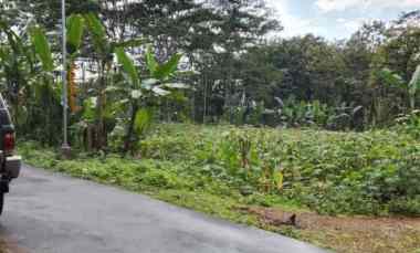 dijual tanah dijual tanah di jumantono