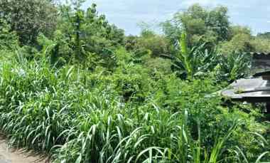 dijual tanah dijual tanah di kaliboto